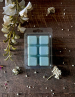 Load image into Gallery viewer, Wild Sage &amp; Mint Wax Melts
